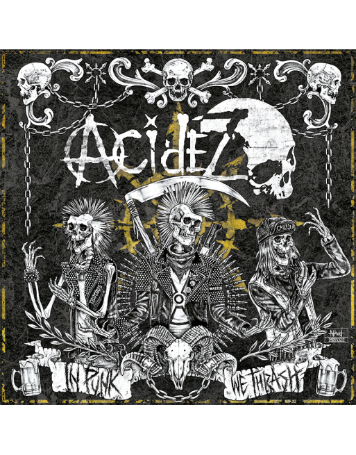 ACIDEZ - In Punk We Thrash - LP