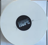 VA - Will We Ever Learn - Sampler - 5 Bands - lim. 100 copies - white LP
